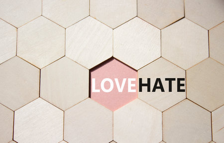 Love vs Hate symbol. Concept word Love vs Hate on wooden comb puzzle. Beautiful pink background. Business and Love vs Hate concept. Copy spaceの写真素材