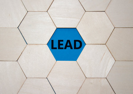 Lead symbol. Concept word Lead on wooden comb puzzle. Beautiful blue background. Business and Lead concept. Copy space.の写真素材