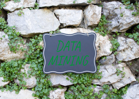 Data Mining symbol. Stone wall with words Data Mining. Beautiful stone background with plants....