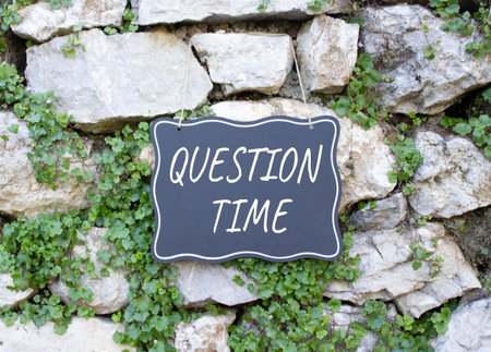 Question Time symbol. Stone wall with words Question Time. Beautiful stone background with plants. Business and Question Time concept. Copy space.の写真素材