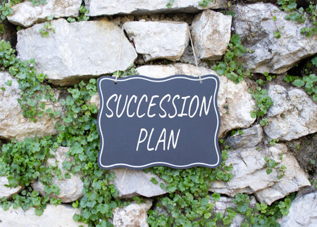 Succession Plan symbol. Stone wall with words Succession Plan. Beautiful stone background with plants. Business and Succession Plan concept. Copy space.の写真素材