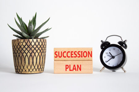 Succession Plan symbol. Wooden blocks with words Succession Plan. Beautiful blue background with alarm clock and succulent plant. Business and Succession Plan concept. Copy space.の写真素材