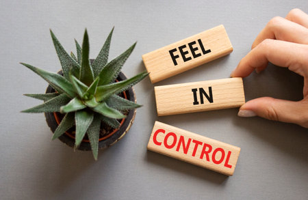 Feel in Control symbol. Wooden blocks with words Feel in Control. Beautiful gray background with succulent plant. Businessman hand. Business and Feel in Control concept. Copy space.の写真素材