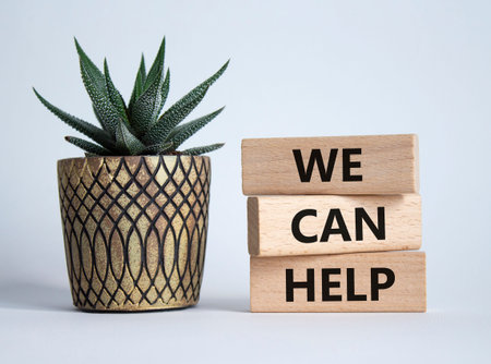 We can help symbol. Wooden blocks with words We can help. Beautiful white background with succulent....