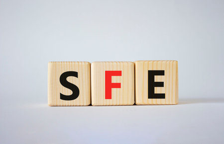 SFE - Sales Force Effectiveness. Wooden cubes with word SFE. Beautiful white background. Business and Sales Force Effectiveness concept. Copy space.の写真素材