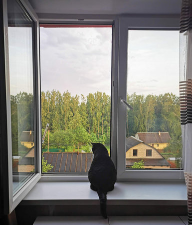 A cat sits on a wide windowill overlooking a village and forest landscape. This image represents...