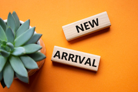 NEW ARRIVAL symbol. Concept word NEW ARRIVAL on wooden blocks. Beautiful orange background with succulent plant. Business and NEW ARRIVAL concept. Copy space