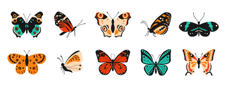 Cartoon butterflies. Colorful spring and summer flying insects with pattern elements on wings. Vector isolated setのイラスト素材