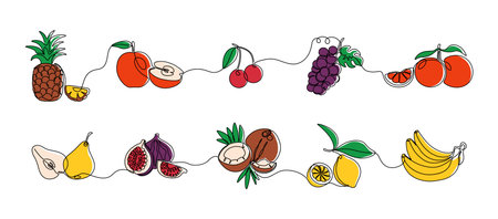 Continuous line fruits. Exotic colored coconut pineapple pear grape orange and bananas. Vector sweet fruits one line setのイラスト素材