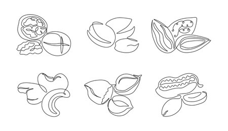 One line nuts. Continuous line healthy nutrition, walnuts pistachios hazelnut peanut cashew monoline nut set. Vector isolated linesのイラスト素材