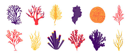 Algae. Cartoon sea and ocean plants, fantasy seaweeds for posters and marine products. Vector algae isolated setのイラスト素材