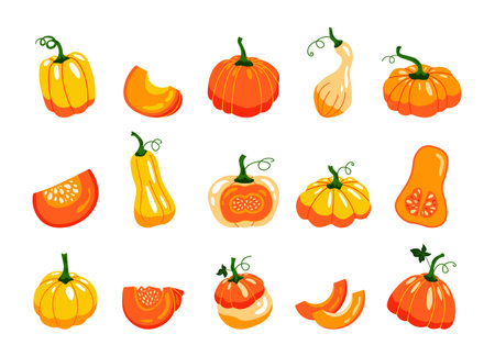 Autumn pumpkins. Cartoon cut in half and lobules organic farm product with seeds. Vector pumpkins isolated setのイラスト素材