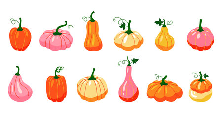 Pumpkins. Cartoon autumn vegetables, farm organic product, colourful bright collection. Vector isolated setのイラスト素材