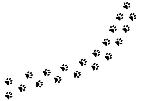 Cute black footprints of pet foot steps silhouettes. Vector animal tracks isolated on whiteのイラスト素材