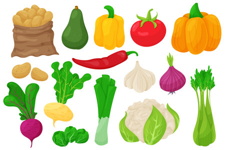 Cartoon vegetables. Vegan food, potatoes, peppers, pumpkin, celery, beets, onions, tomatoes, cauliflower, garlic. Vector vegetable setのイラスト素材