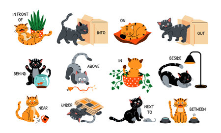 Cat in English prepositions. Cartoon cute cat near far above below behind and in front of cushion bowl with food and pot with plant. Vector setのイラスト素材