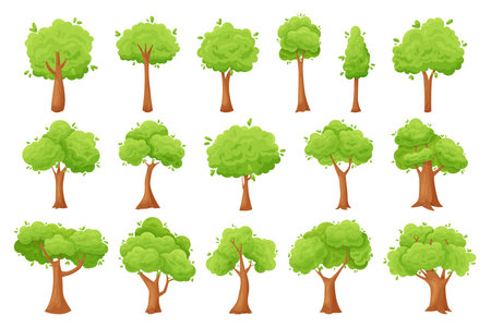 Cartoon trees. Green forest, park and garden vegetation, comic wood environment and country landscape elements. Vector setのイラスト素材