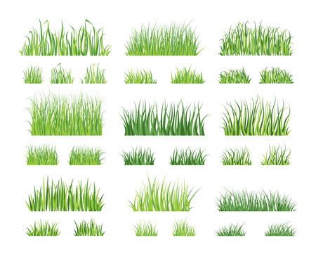 Cartoon grass. Green garden lawn silhouette, nature grass border element. Vector isolated setのイラスト素材
