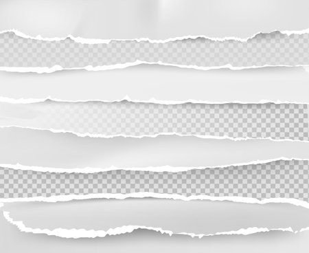 Realistic torn edge. White blank notepad sheet layout with ripped edges, grunge paper border texture, abstract header. Vector setのイラスト素材