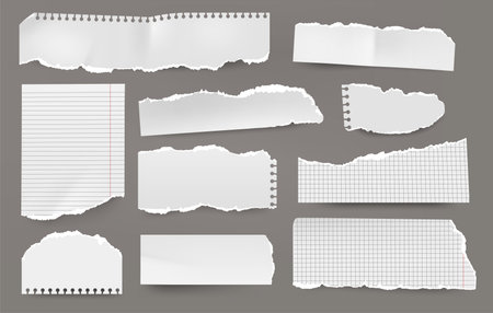 Torn paper sheet. Realistic white sticky memo pages with torn edges, ripped grunge notepad sheets with lined layout. Vector setのイラスト素材
