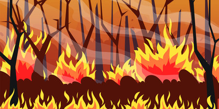 Natural fire. Cartoon burning forest nature disaster, flames on spruce trees and bushes. Vector cataclysm illustrationのイラスト素材