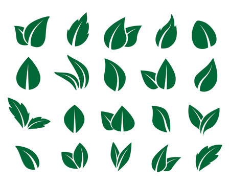 Tree leaves. Green   mint and herbal tea. Vector abstract illustration of eco leavesのイラスト素材