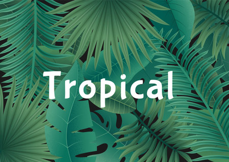 Seamless tropical background. Exotic wallpaper with jungle foliage. Vector botanical illustrationのイラスト素材