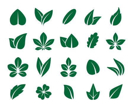 Leaf icon. Green sprout symbol of nature. Vector abstract organic foliageのイラスト素材
