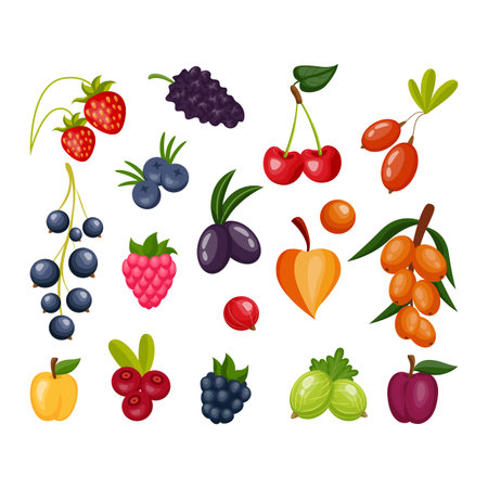 Berry icons. Cartoon fruits of plant. Blueberry and raspberry. Cherry with leaf. Wild strawberry and cranberry. Sweet raspberry or physalis. Natural food set. Vector healthy logo designのイラスト素材