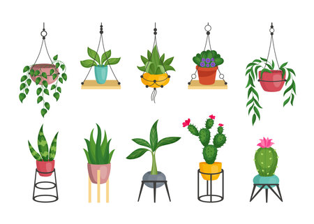 Macrame plant pots. Handmade rope holder for succulent flowerpot. Houseplants with green leaves and blossoms in cartoon style. Home garden collection. Flat vector potted flowers setのイラスト素材