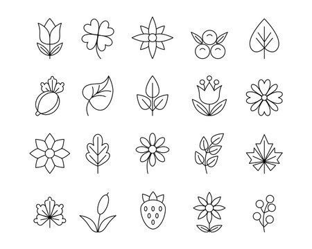 Flower symbols. Plant thin line  . Botanical ornament pattern elements. Berries and leaves. Organic modern shapes. Clover or maple foliage. Buddhism and beauty. Vector icons setのイラスト素材