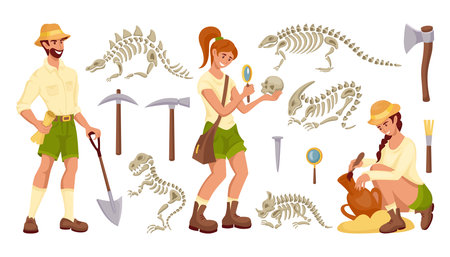 Archeology tools. Palaeontologist instrument. Archaeologists search skulls and antiquities. Person with dinosaur bone or vase. History instruments. Vector paleontology excavation setのイラスト素材