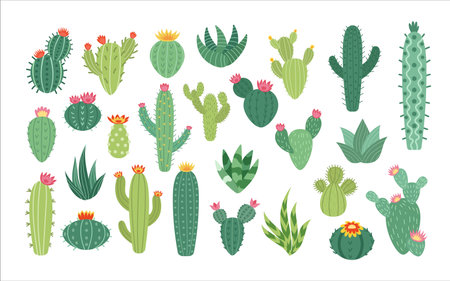 Desert cacti flowers. Cute mexico summer cactus set, plant stickers, mexican garden, exotic houseplants. Scrapbook collection. Botanical elements for decor. Vector cartoon flat illustrationのイラスト素材