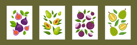 Fruit posters. Abstract modern food backgrounds with hand drawn leaf and tropical plants. Fresh summer wallpapers set. Durian and mangosteen. Sweet papaya and fig. Illustration vector artのイラスト素材