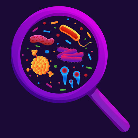 Bacteria infection. Magnify glass with microbiome. Magnifier and microbe germs. Infection pathogens. Colorful microorganism. Virus or bacterium in microscope. Vector flat backgroundのイラスト素材
