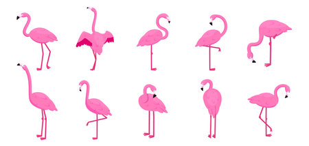 Cartoon flamingo set. Tropical cute pink birds in different poses, standing and sitting, collection of summer animal icons. Isolated cartoon flat style elements. Vector background printのイラスト素材