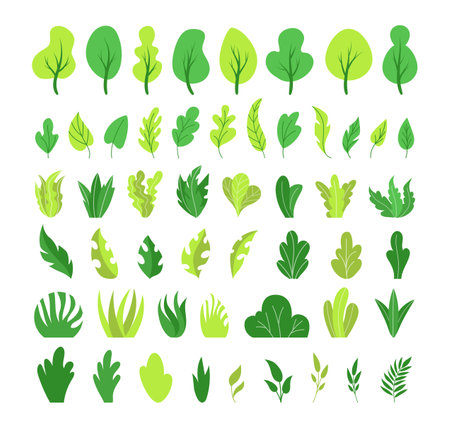 Botanical elements. Plant leaves, cute bush, tree leaf collection. Minimal jungle foliage, green grass and branches, minimal simple garden objects for decor. Vector cartoon illustration setのイラスト素材