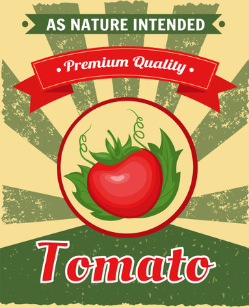 Tomato poster. Food soup advertising. Art package label. Vintage ad. Antique diner design. Dinner menu. Fresh red vegetable. Vegan product. Organic agriculture. Vector design illustrationのイラスト素材