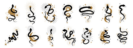 Esoteric snake set. Mystery symbol, boho logo collection. Astrology witch element, gothic witchcraft sign, vintage alchemy moon. Mystic reptile black and gold silhouettes. Vector illustrationのイラスト素材