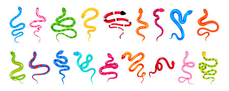 Snake animals. Colorful serpents. Isolated nature patterns. Floral tropical skin tattoo. Magic wildlife reptiles. Poisonous dangerous predators. Viper or python. Vector cartoon zoo setのイラスト素材