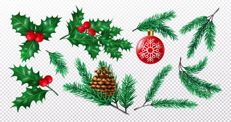 3d xmas branch set, tree with cones and christmas toys, holly berry. Pine leaf and red ball, fir or spruce, winter holiday, realistic plants for decor. Vector graphic exact illustrationのイラスト素材