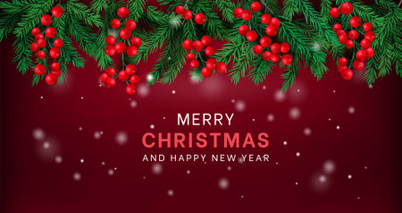 Holly christmas background, pine tree branch and red mistletoe berry, xmas holiday evergreen fir or spruce decoration. Web banner template. Realistic decor. Vector isolated exact patternのイラスト素材