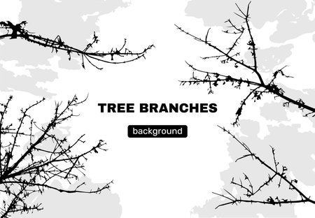 Line tree branch, leaf silhouettes. Strong and shadow vegetation art, black rural cover, forest nature wood. Autumn season nature. Leafless wood. Banner template. Vector tidy line backgroundのイラスト素材