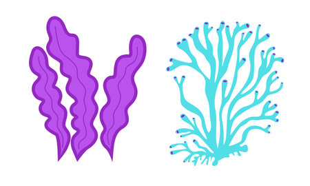Seaweed. Cartoon ocean plants. Doodle style underwater isolated decor elements. Colorful silhouettes for decoration. Algae and kelp for aquarium. Botanical hand drawn summer marine vector setのイラスト素材