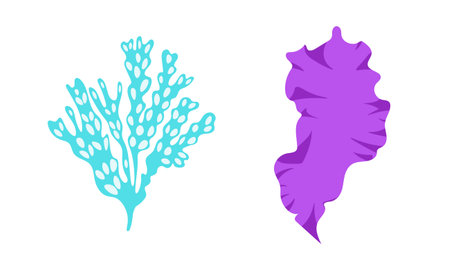 Seaweed illustration. Colorful ocean plants, cartoon algae and kelp, underwater tropical flora and aquarium decor isolated elements. Botanical summer marine botanical objects, vector setのイラスト素材