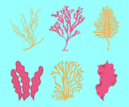 Seaweed set. Cartoon ocean plants, hand drawn sea botany collection in doodle style, algae or kelp, aquarium colorful decor, underwater botanical laminaria, isolated illustrationのイラスト素材