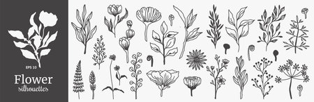 Floral ornament. Hand drawn flowers, plant leaves, nature doodle leaf and line branch. Black silhouettes. Spring herbs and blossoms collection for decor. Vector outline monochrome decoration setのイラスト素材