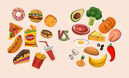 Food. Carbohydrate and protein. Carbs grain, fiber. Meat, cheese and fat. Vitamin avocado, broccoli and fruits. Group category diet. Cereal, complex energy. Healthy unhealthy nutrition. Vector setのイラスト素材