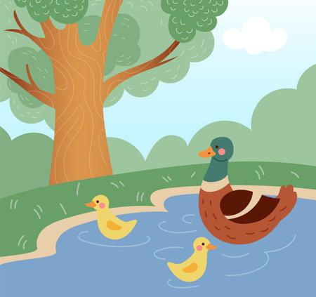 Cute animals. Water birds swimming in pond. Happy ducky family. Wild nature landscape. Ducklings group. Summer scenery. Park forest. Mallards folk. Cartoon yellow duck chicks. Vector wildlife sceneのイラスト素材