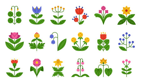 Symmetrical floral pattern. Abstract flower. Spring green leaf, garden plants. Petal botany, decoration in cute geometry nature. Vector minimal cartoon flat growth tidy element isolated illustrationのイラスト素材
